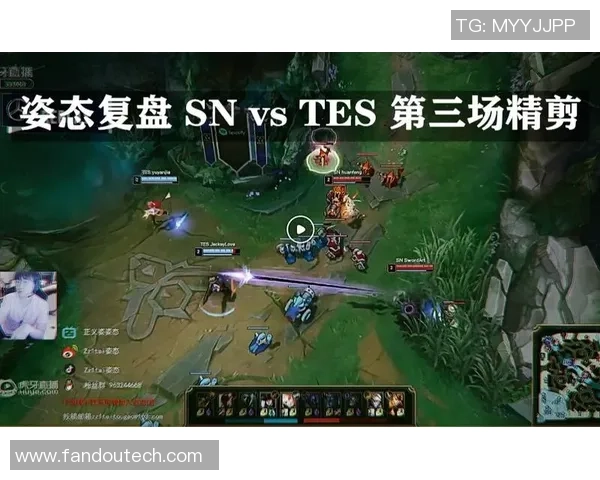 赛后复盘：V5 vs TES的灵活性